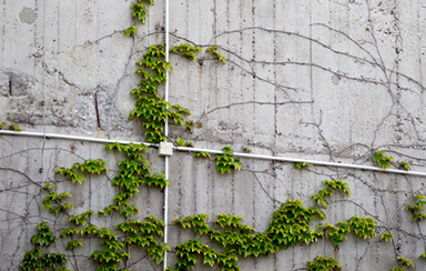 Foto: 7771881, bauzaun. Quelle: Photocase.com