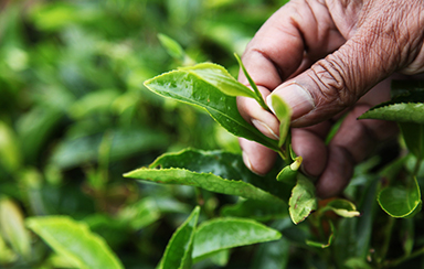 Foto: 246689, unART Quelle: Photocase.com