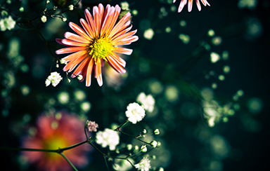 Foto: 184560, drarock Quelle: Photocase.com