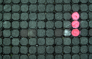 Foto: 268609, owik2 Quelle: Photocase.com