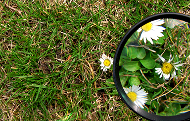 Foto: 128645, Juttaschnecke Quelle: Photocase.com