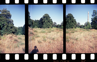 Foto: 225881, nurmalso Quelle: Photocase.com