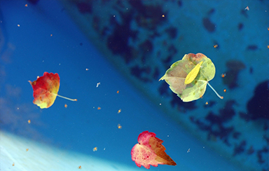 Foto: 219960, 4view Quelle: Photocase.com