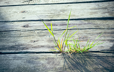 Foto: 779127, funkenschlag Quelle: Photocase.com