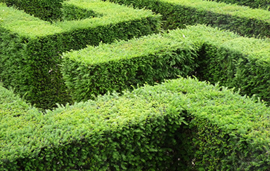 Foto: 170036, Gemmi Quelle: Photocase.com