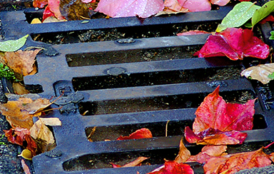 Foto: 76265, bit Quelle: Photocase.com