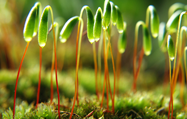 Foto: 128616, manona le fay Quelle: Photocase.com