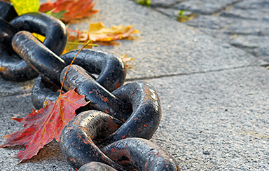 Foto: 256312, Olgalis Quelle: dreamtimefree