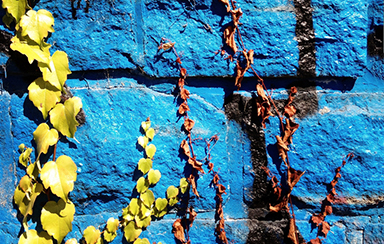 Foto: 278904, doesnotcare Quelle: Photocase.com