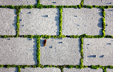 Foto: 182209, ohneski Quelle: Photocase.com