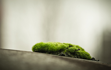 Foto: 574861, cacciatore.di.sogni Quelle: Photocase.com