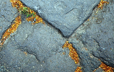 Foto: 275744, LP12inch Quelle: Photocase.com