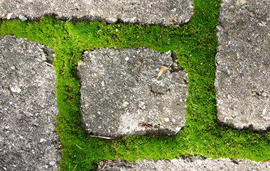 Foto: 71072, DieAna Quelle: Photocase.com