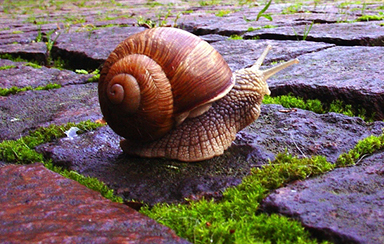 Foto: 74007, jlokij Quelle: Photocase.com