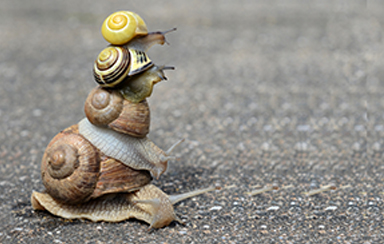 Foto: 269555, Francesca Schellhaas Quelle: Photocase.com