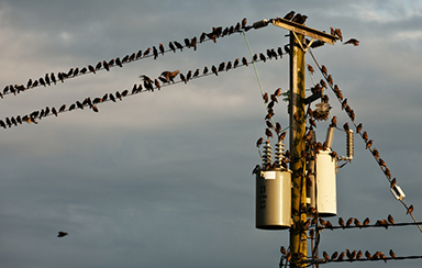 Foto: 276080, designritter Quelle: Photocase.com