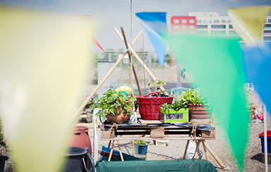 Foto: 740064, zabalotta Quelle: Photocase.com