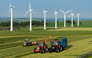 Foto: 000018050099, stephenmeesestephenmeese Quelle: iStock